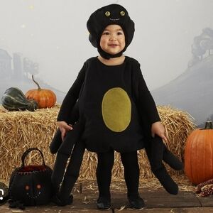 Pottery Barn Kids Black and Green Spider Costume